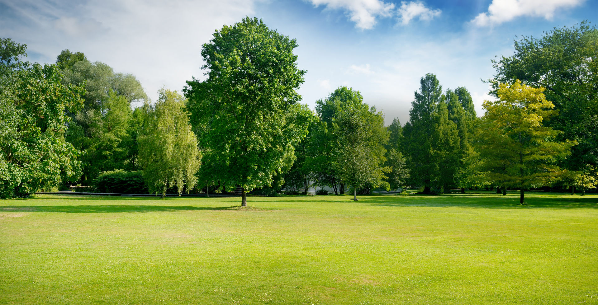 遠雄房地產發展股份有限公司
